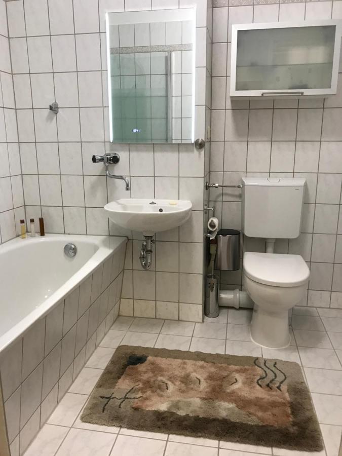 Zentrumsnahe Leipzig-Apartments, Nahe Ufz Und Bmw Inkl Parkplatz Und Fahrraeder Exteriör bild