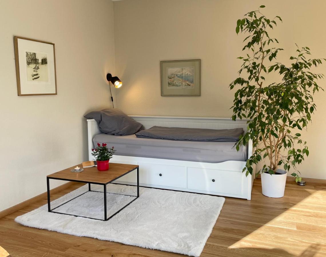 Zentrumsnahe Leipzig-Apartments, Nahe Ufz Und Bmw Inkl Parkplatz Und Fahrraeder Exteriör bild