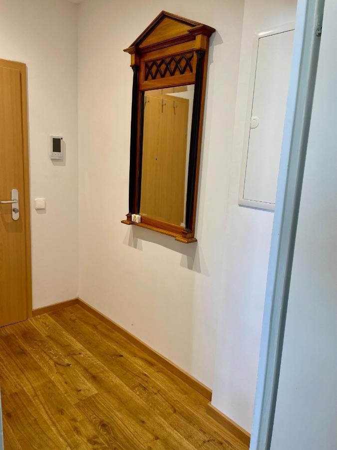 Zentrumsnahe Leipzig-Apartments, Nahe Ufz Und Bmw Inkl Parkplatz Und Fahrraeder Exteriör bild